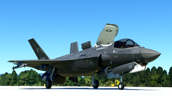 F-35B JASDF 202sq Fictional - for Microsoft Flight Simulator