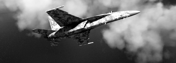 F/A-18E Grey Urban Camouflage both SW and stock supported - for Microsoft Flight Simulator