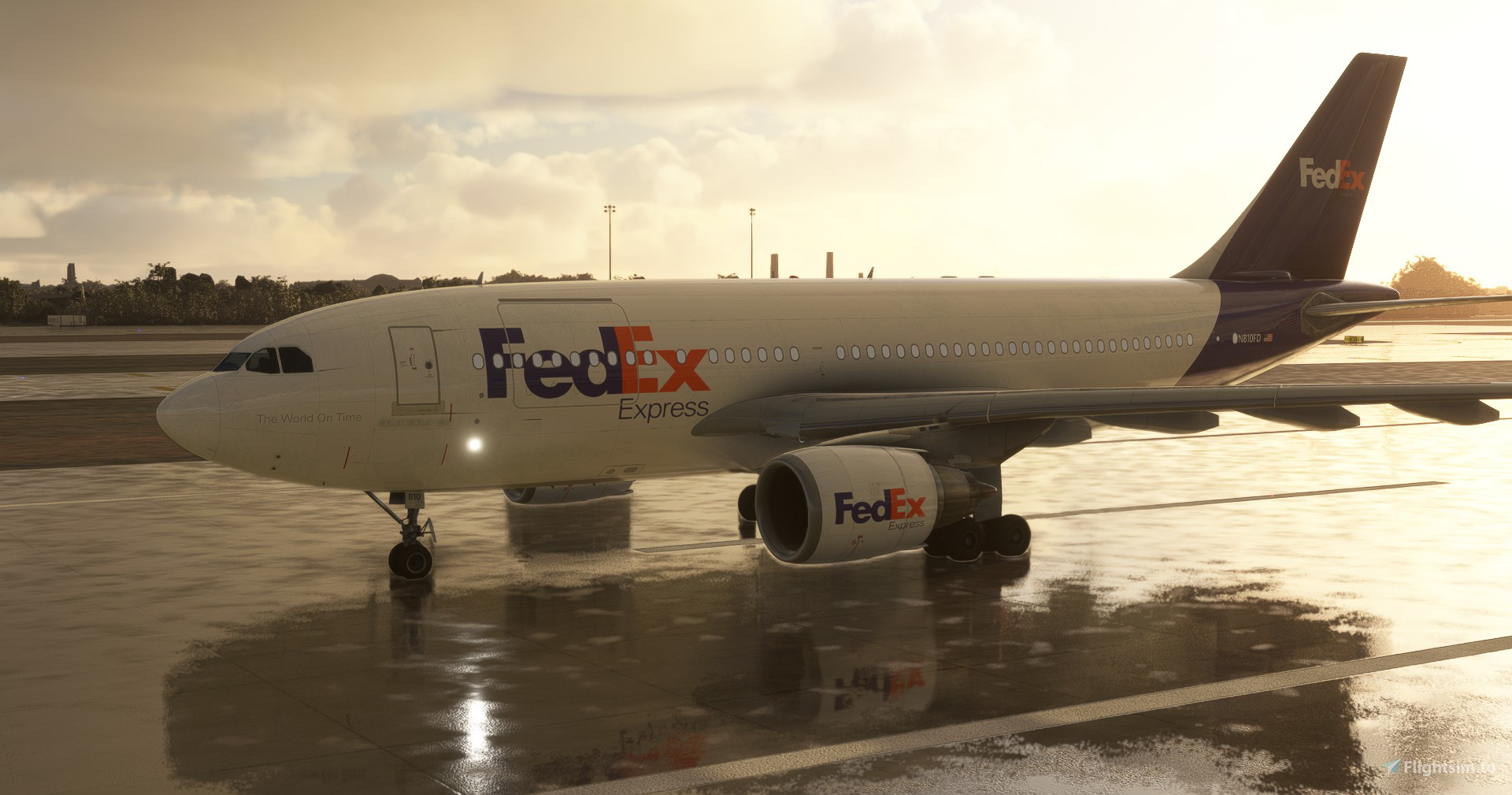 A310-300F FedEx フェデックス N811FD cargo-