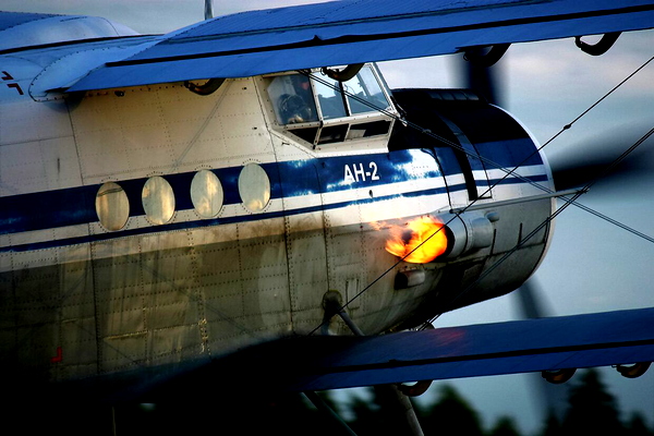Flight Model AN-2 - for Microsoft Flight Simulator