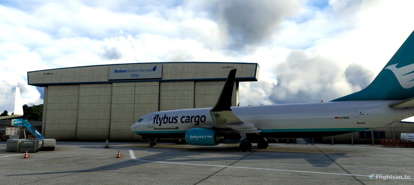 FlyBus Cargo PMDG 737-800 Livery pour Microsoft Flight Simulator | MSFS