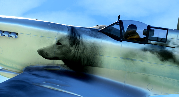 FlyingIron SpitfireIX Repaint Livery: Wolf - for Microsoft Flight Simulator