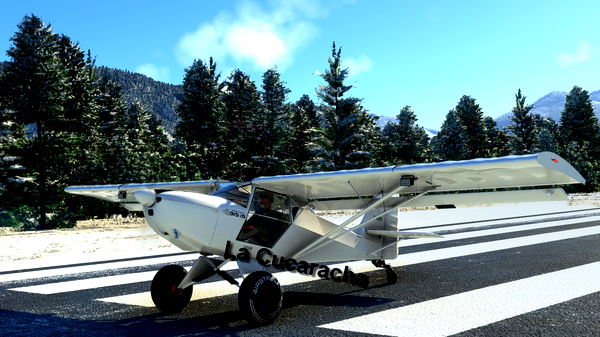 Fox 2 - La Cucaracha - for Microsoft Flight Simulator