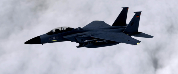 German Air Force / Luftwaffe F-15GA 45+35 - for Microsoft Flight Simulator