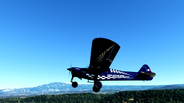 Gotgravel-Monster NXCub-special discord Simulateur Game - V 2.1 by Newdeclic - for Microsoft Flight Simulator