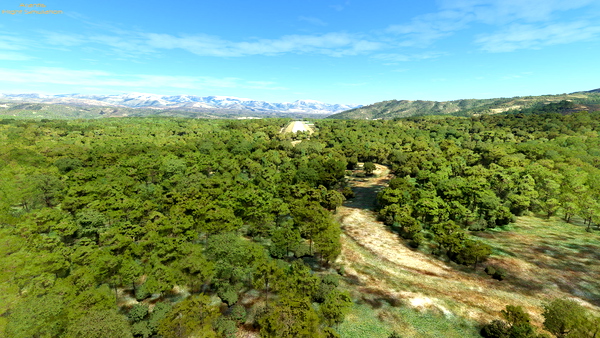 Greece Runway Vegetation - for Microsoft Flight Simulator