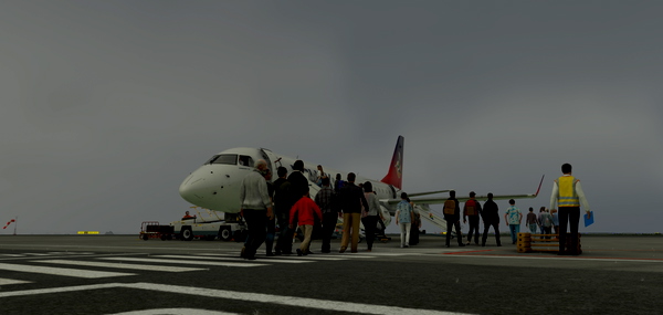 GSX Pro Profile - NMG Simulations FAGG - George International Airport - for Microsoft Flight Simulator