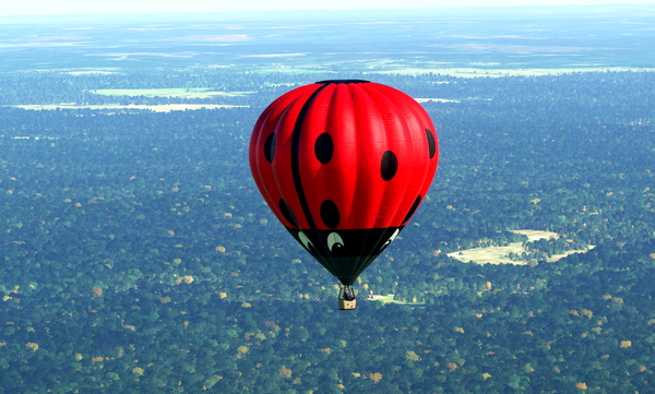 HPG Hot Air Balloon Repaint Livery: Ladybird - for Microsoft Flight Simulator
