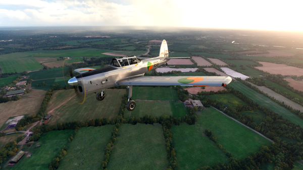 IHFF DHC-1 Chipmunk Fleet - for Microsoft Flight Simulator