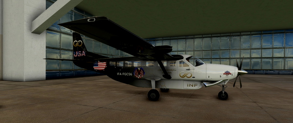 Infinity Airways Regional 208B Grand Caravan USA - for Microsoft Flight Simulator