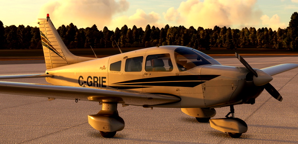 JF Warrior II Blue Shine and C-GRIE - for Microsoft Flight Simulator