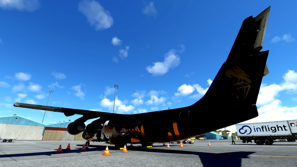 JustFlight - BAE146-300 - Nirvanair - for Microsoft Flight Simulator