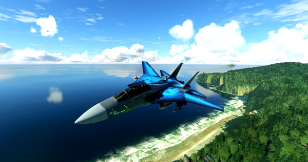 LIS DC Designs F-14 - for Microsoft Flight Simulator