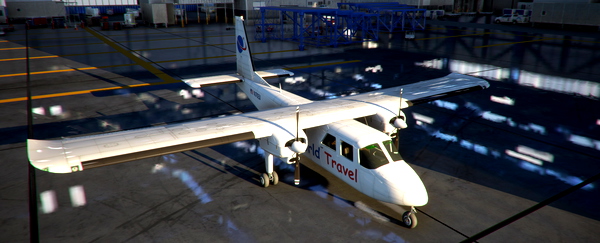 Livery - bbs-bn2a-World Travel - for Microsoft Flight Simulator