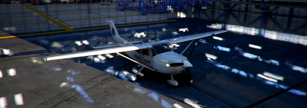 Livery - Cessna 182 Slylane World Travel - for Microsoft Flight Simulator