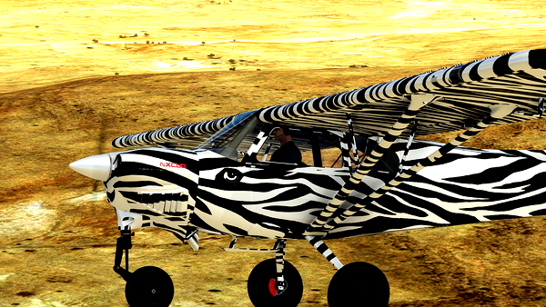 Livery Gotgravel-monster-nxcub-zebre-V1.0.0 by Newdeclic - for Microsoft Flight Simulator
