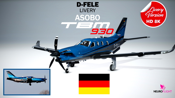 Livery of TBM 930 Registration D-FELE - for Microsoft Flight Simulator