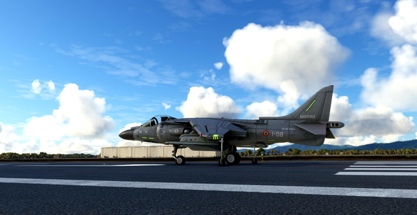 McDonnell Douglas AV-8B Harrier II Italian Navy GAI "Wolves" MM7214 #08 - for Microsoft Flight Simulator