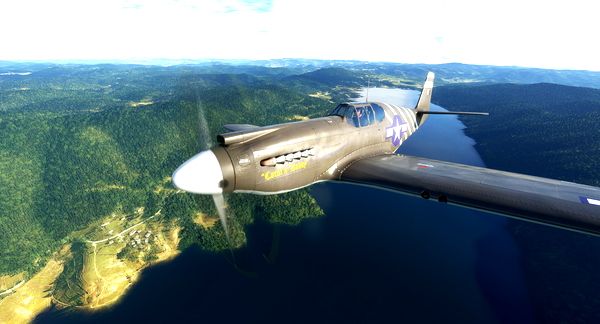 North American P-51A 1st ACG #18 "Carol's Daddy" - for Microsoft Flight Simulator