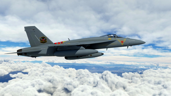 Outcasts Warbird Friday Livery for the F/A-18E Super Warrior mod - for Microsoft Flight Simulator