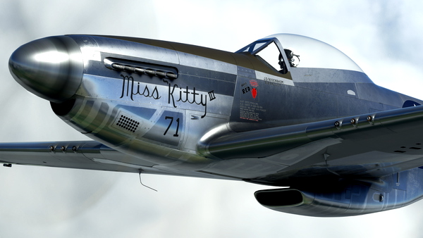 P-51D Mustang "Miss Kitty III" N376TM - for Microsoft Flight Simulator