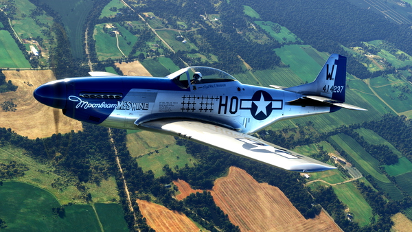 P-51D Mustang "Moonbeam McSwine" N51VL - for Microsoft Flight Simulator