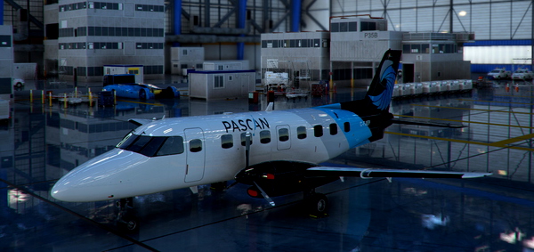 Pascan NG Bandeirante EMB-110P1 - for Microsoft Flight Simulator