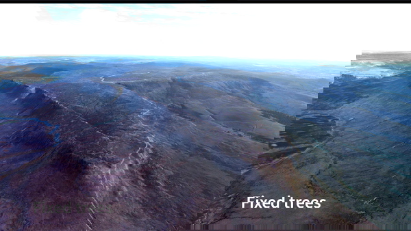 Peak District National Park scenery corrections (tree fix) - for Microsoft Flight Simulator