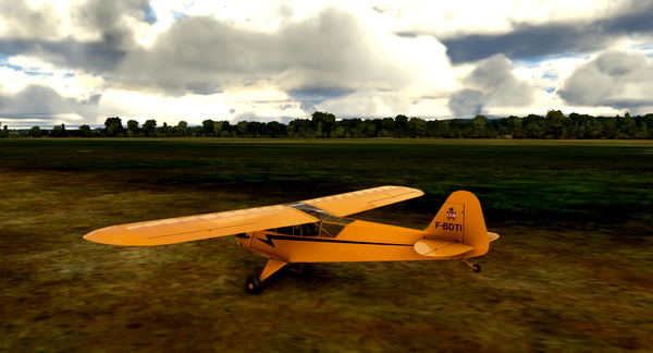 Piper L-4 Grasshopper F-BDTI - for Microsoft Flight Simulator