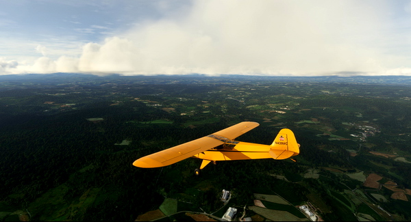 Piper L-4 Grasshopper N439VC - for Microsoft Flight Simulator