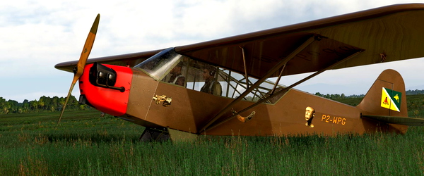 Piper L-4 Grasshopper fr Wapoga P2-WPG - for Microsoft Flight Simulator