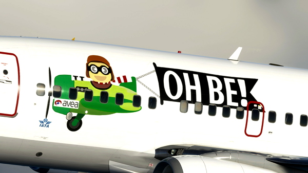 PMDG 737-600 Pegasus TC-AAG-Ho Be! - for Microsoft Flight Simulator