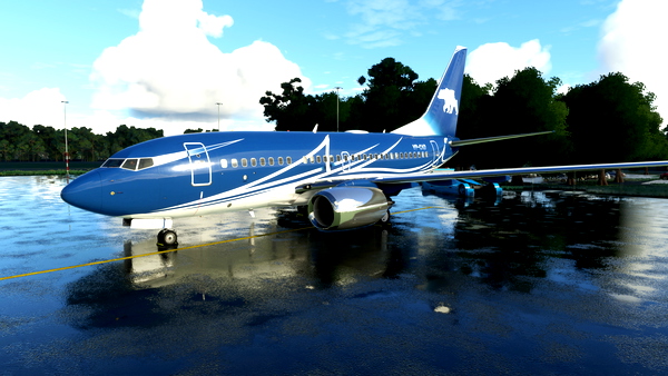 PMDG 737-600 VP-CAD - for Microsoft Flight Simulator