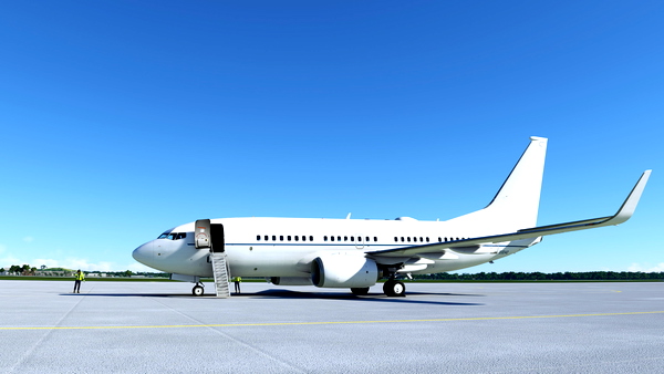PMDG 737-700BBJ USAF 02-0042 - for Microsoft Flight Simulator