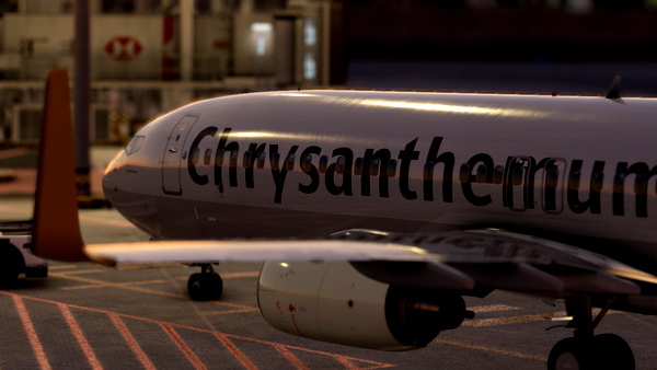 PMDG 737-800 Chrysanthemum Air B-5877 Liangping Zhangyazi - for Microsoft Flight Simulator