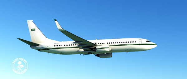 PMDG 737-800BBJ2 Saudi Arabia - Air Force (HZ-102 - 2001) - for Microsoft Flight Simulator