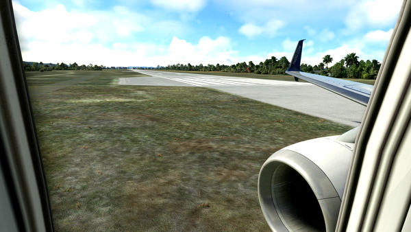 PMDG 737-900&737-900ER Custom Views - for Microsoft Flight Simulator