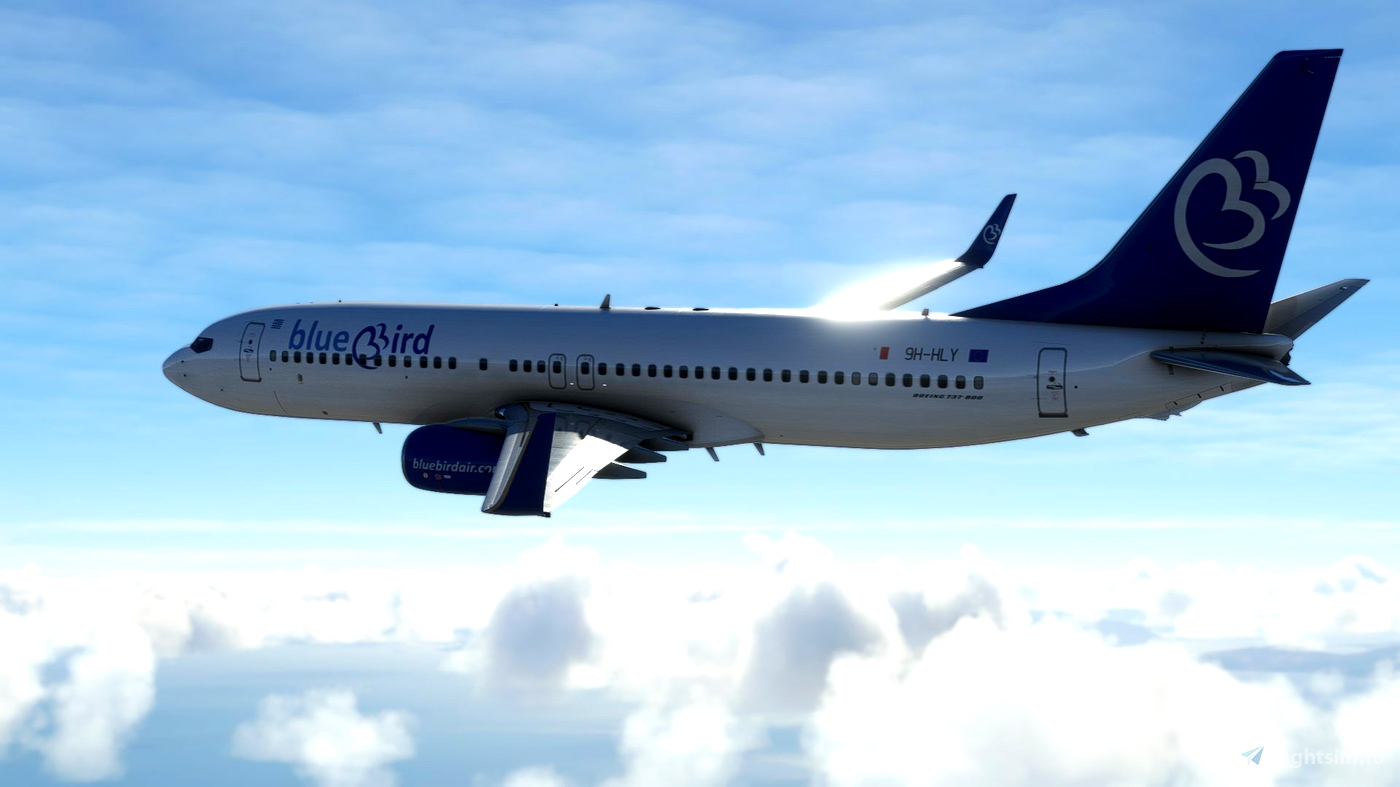 PMDG Boeing B737-800 BlueBird Airways | 4K for Microsoft Flight