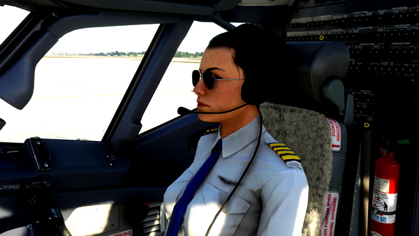 737NG Copilot Only - for Microsoft Flight Simulator