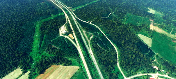 Quebec province trees corrections (WIP) - for Microsoft Flight Simulator