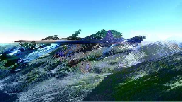 Savage Cub / Savage Carbon / Savage Grravel VirtualFlight.Online Livery Pack - for Microsoft Flight Simulator