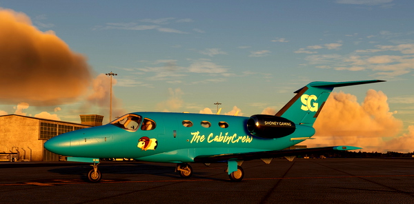 Shoney Gaming Cockspur C510 Mustang - for Microsoft Flight Simulator