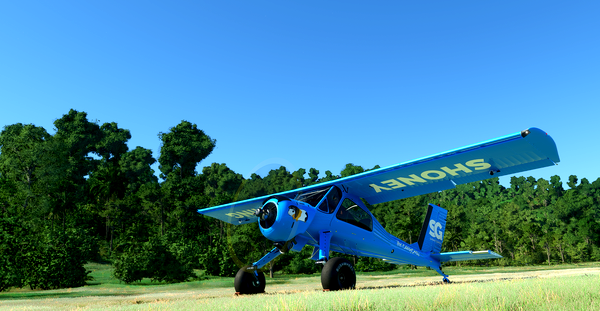 Shoney Gaming Wilga35/80 - for Microsoft Flight Simulator