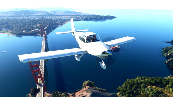 SimWorks Studios RV-10 Blank Textures - for Microsoft Flight Simulator