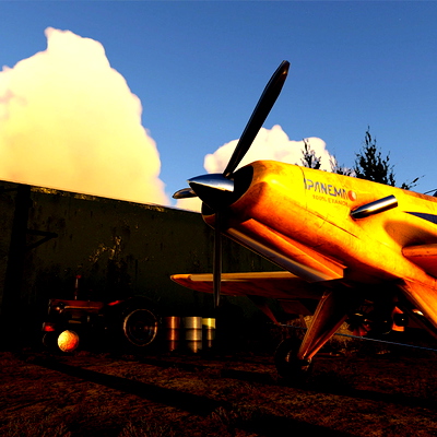SJHH - Poruína Farm - for Microsoft Flight Simulator