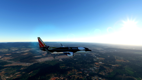 SOUTHWEST SEA WORLD 737M - for Microsoft Flight Simulator