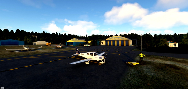 SR22 lot flight academy - for Microsoft Flight Simulator