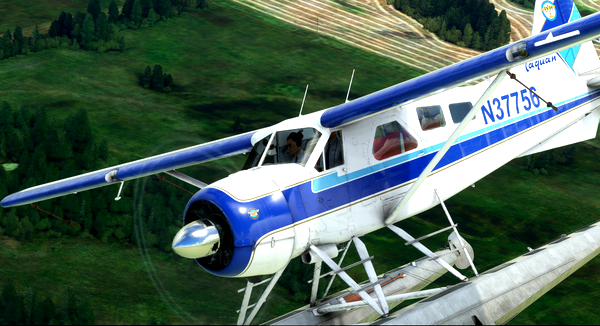 Taquan Air | N37756 | DHC-2 Beaver | 4K Resolution - for Microsoft Flight Simulator