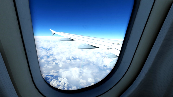 The Definitive Fenix A320 Custom Views - for Microsoft Flight Simulator