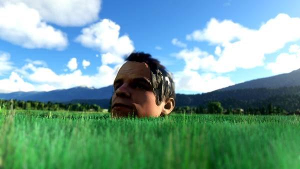 The Flying Swiss001 - for Microsoft Flight Simulator